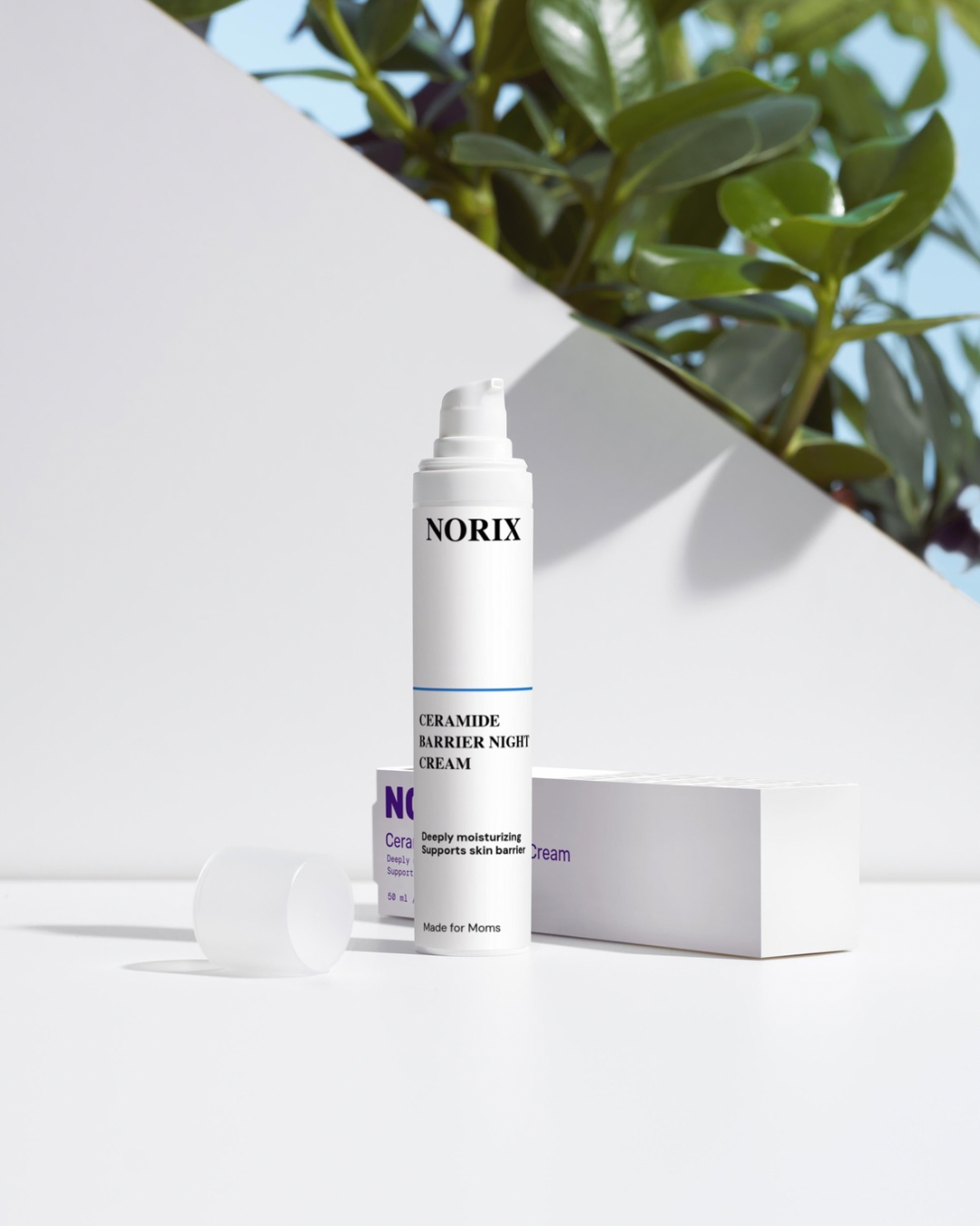 Ceramide Night Cream – Barrier Repair & Smooth™