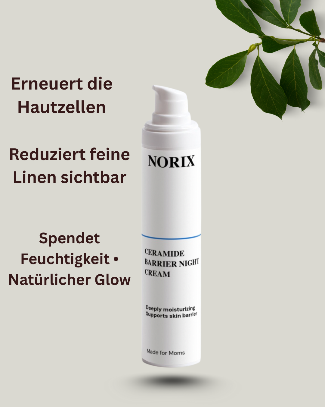 Ceramide Night Cream – Barrier Repair & Smooth™